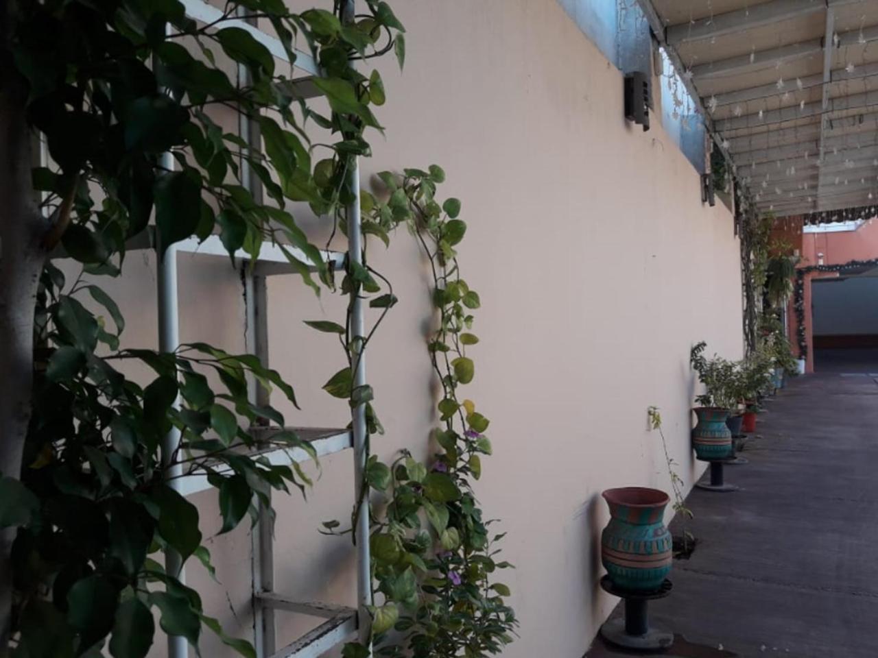Tercera Avenida Hotel Tuxtla Gutierrez Exterior photo